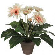 Planta Artificial - Gerbera Creme - MICA